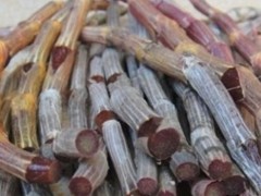 紫皮石斛的功效