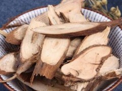 棉花根的功效