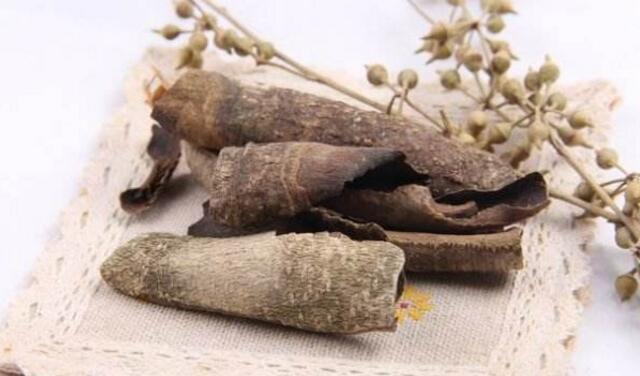 救必应果实的作用=救必应果实有什么功效