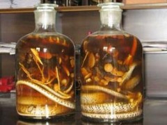 银环蛇泡酒是什么