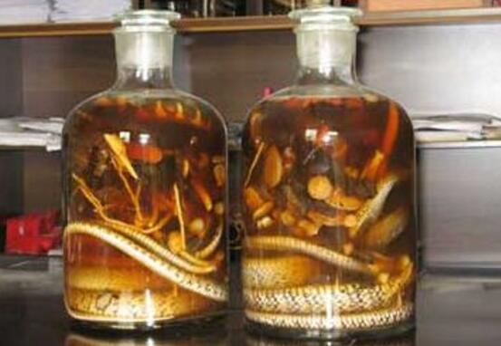 银环蛇泡酒是什么