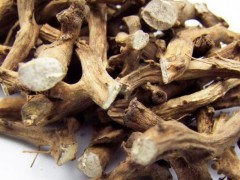 穿地龙泡酒是什么
