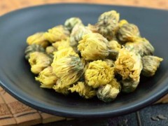 菊花的功效与作用