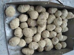 泽泻的副作用有哪些 三个注意事项