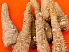 萱草根的药用价值 帮你了解萱草根