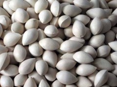 白果存在副作用 不能盲目服用白果