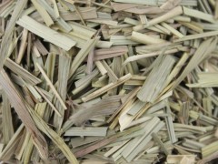 柠檬草泡茶的禁忌和功效