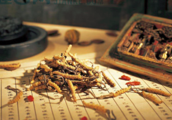 吃中药能喝茶吗