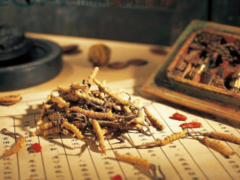 吃中药能喝茶吗