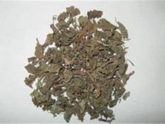 中药材连钱草的三大功效作用