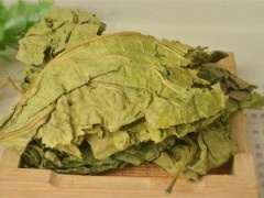桑叶很适合用来洗头 促进头发健康