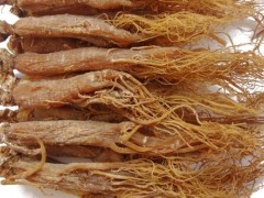 大家对于高丽参的副作用 了解多少