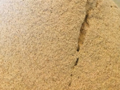 薏仁粉怎么吃