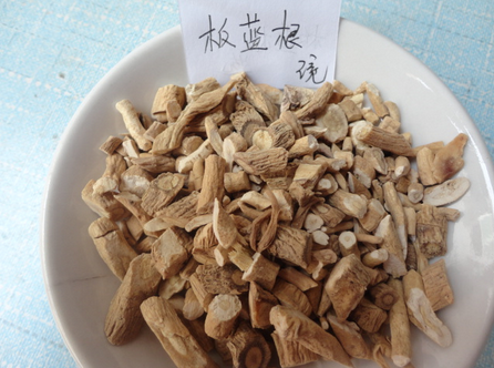 南板蓝根和板蓝根的区别有哪些