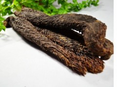 锁阳和肉苁蓉哪个好 比较两者区别