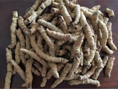 巴戟天副作用多 用药需谨慎