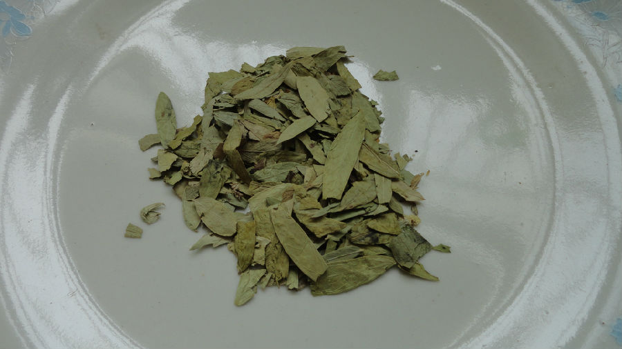 为大家介绍番泻叶的一些副作用