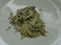 为大家介绍番泻叶的一些副作用
