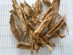 为大家介绍地骨皮的功效和禁忌