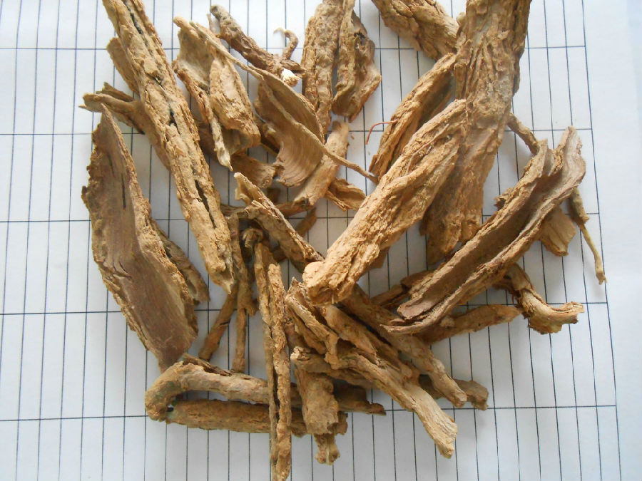 为大家介绍地骨皮的功效和禁忌