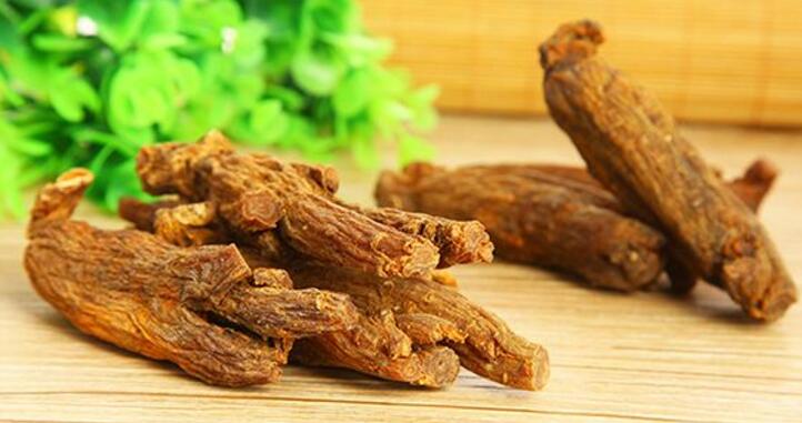 高丽参的功效与作用