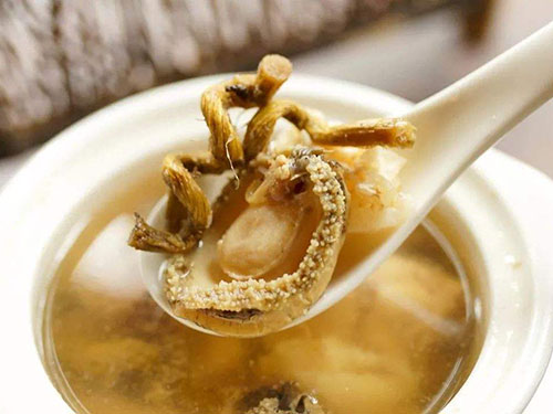 花胶鸡汤热量高吗