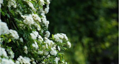 20211027094645