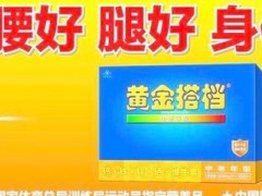 黄金搭档规格和价格是多少