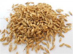 盘点：麦芽和小麦胚芽的区别有哪些