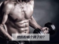 增肌粉哪个牌子好  以下几个牌子可放心选择