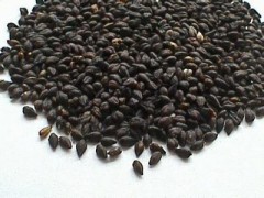 黑苦荞茶的功效和作用有哪些 喝黑苦荞茶的三大功效