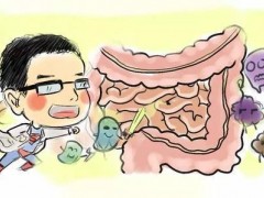 乳酸菌素片的功效是什么 这四种功效你了解吗