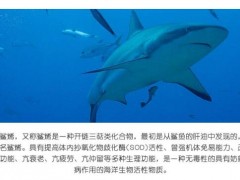 角鲨烯的功效与作用  适合哪些人食用