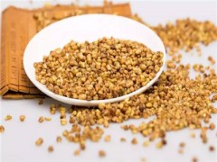 苦荞茶的功效与作用及食用方法 养生专家带你探秘苦荞