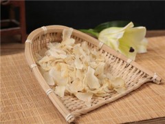 盘点玉竹的功效与作用及禁忌 带你正确认识它