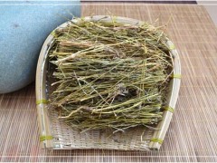藏茵陈的功效与作用及禁忌 使用藏茵陈应注意这些