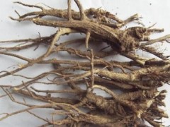 柴胡的功效与作用及禁忌 揭晓柴胡之三大功效
