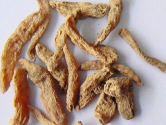 野生天麻多少钱一斤 浅谈野生天麻的功效