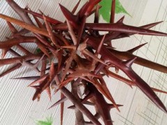 皂刺的功效与作用有哪些 皂刺的三大常功效