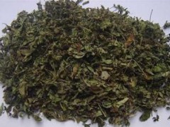 牛至的食用方法 推荐牛至三种吃法