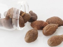 胖大海可以吃吗 胖大海两大吃法效果最佳
