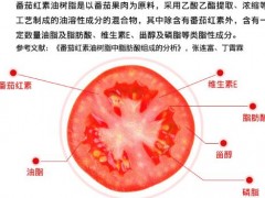 哪些人不宜服番茄红素 它有哪些副作用