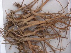 柴胡泡水喝的功效与作用 小小柴胡作用大