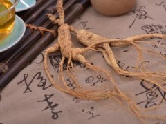高丽参和西洋参有什么区别 详解西洋参与高丽参的区别