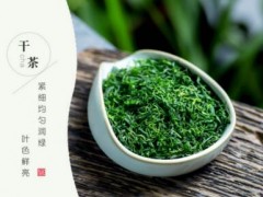 苦丁茶价格多少一斤 苦丁茶的适用人群有哪些