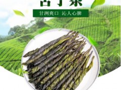 苦丁茶哪里产的最好 【分享】苦丁茶的最佳产地