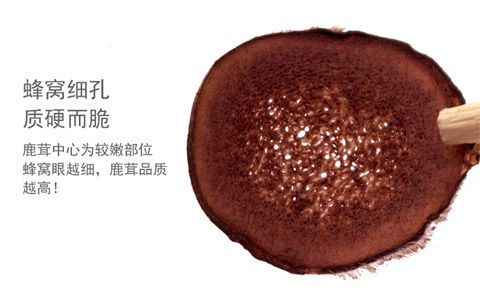 鹿茸片多少钱一斤
