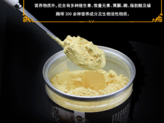 松花粉一天吃多少 正确服用松花粉的用法用量