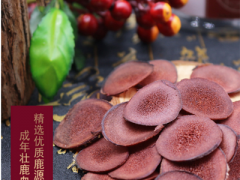 鹿茸的功效与作用禁忌 详解鹿茸吃鹿茸的多种好处