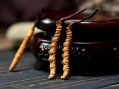 冬虫夏草多少钱一根 冬虫夏草价格以及食用方法介绍